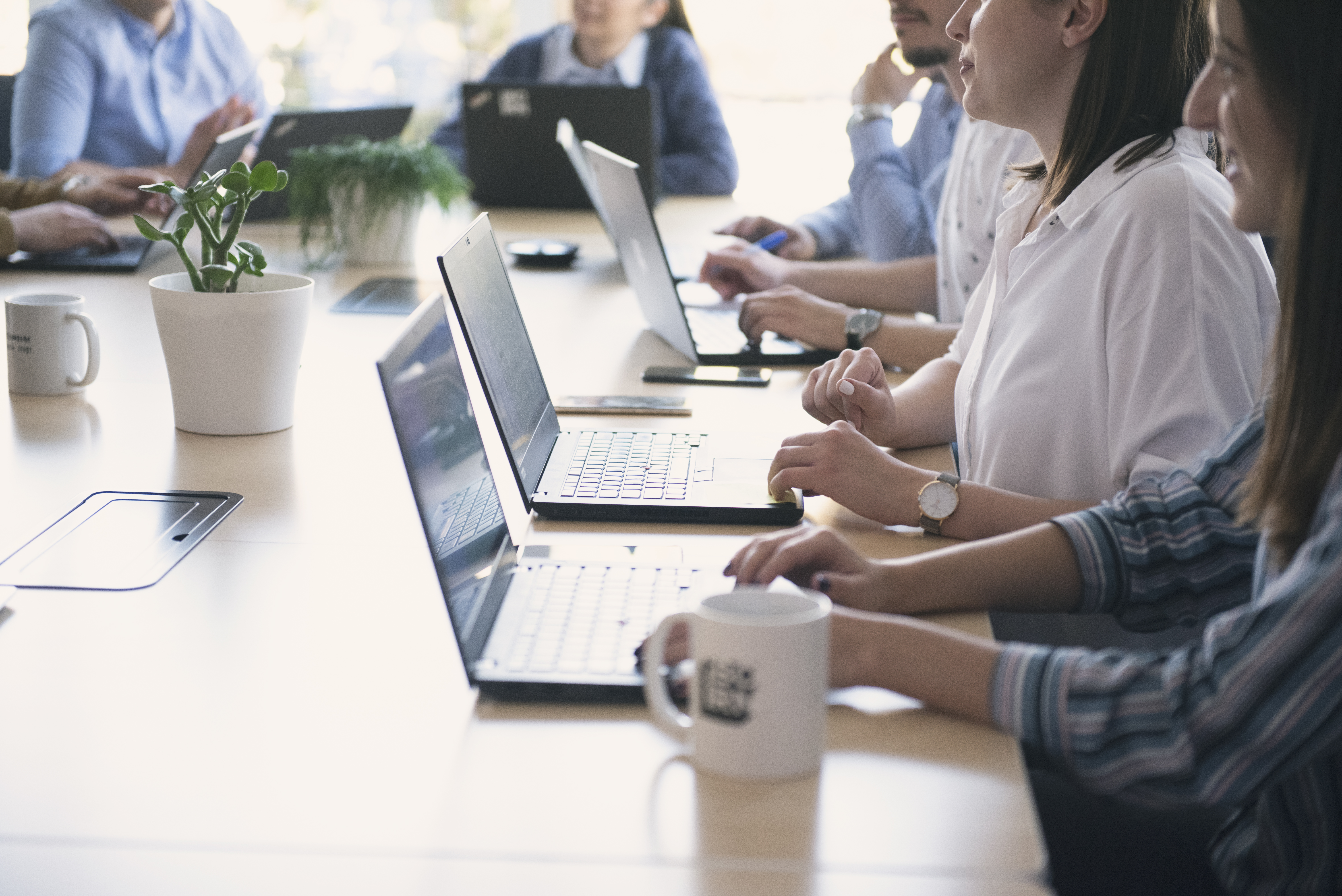 Software engineers working in a conference room on their laptops. 