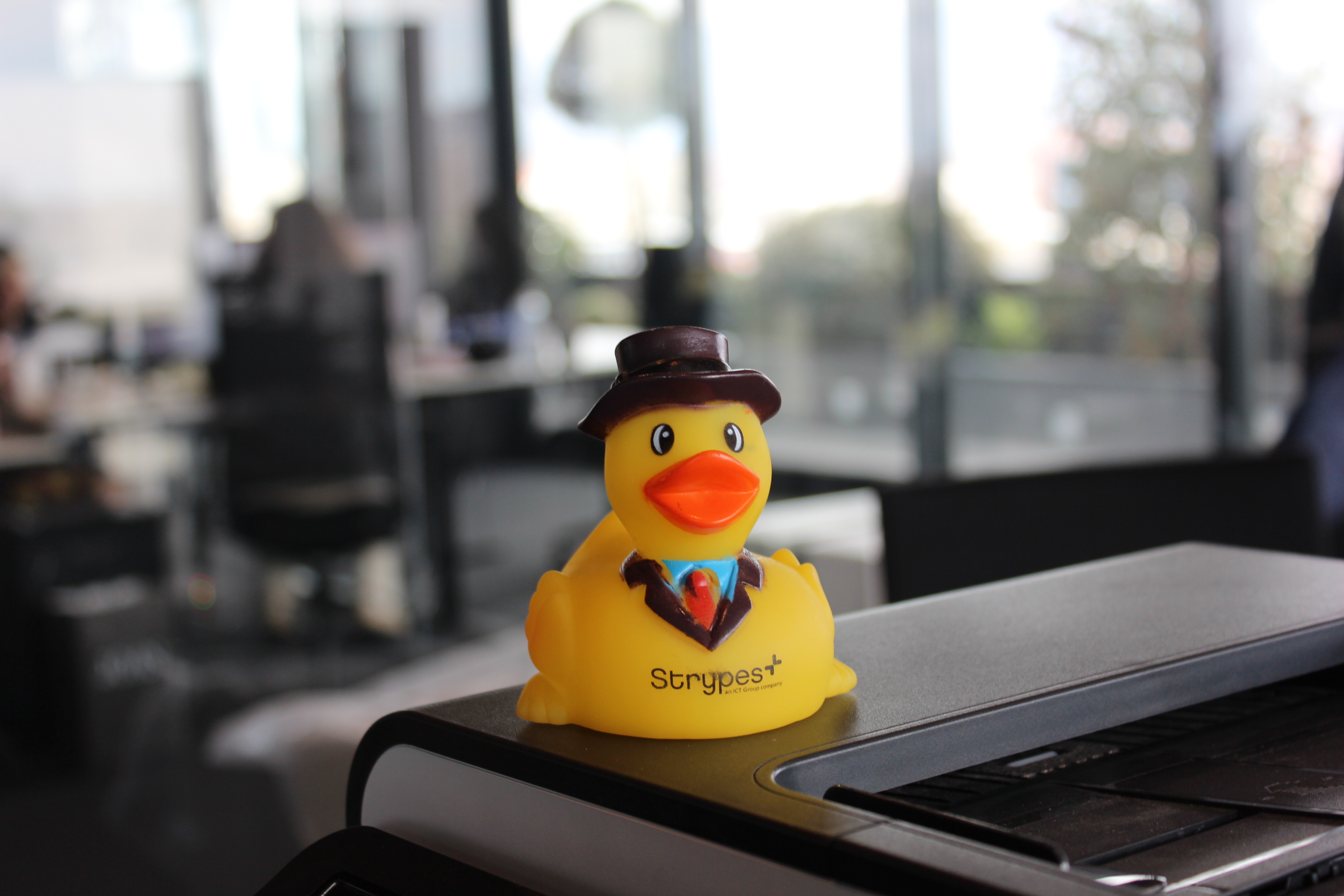 The digital marketing office department at IBORN