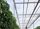 Priva's greenhouse