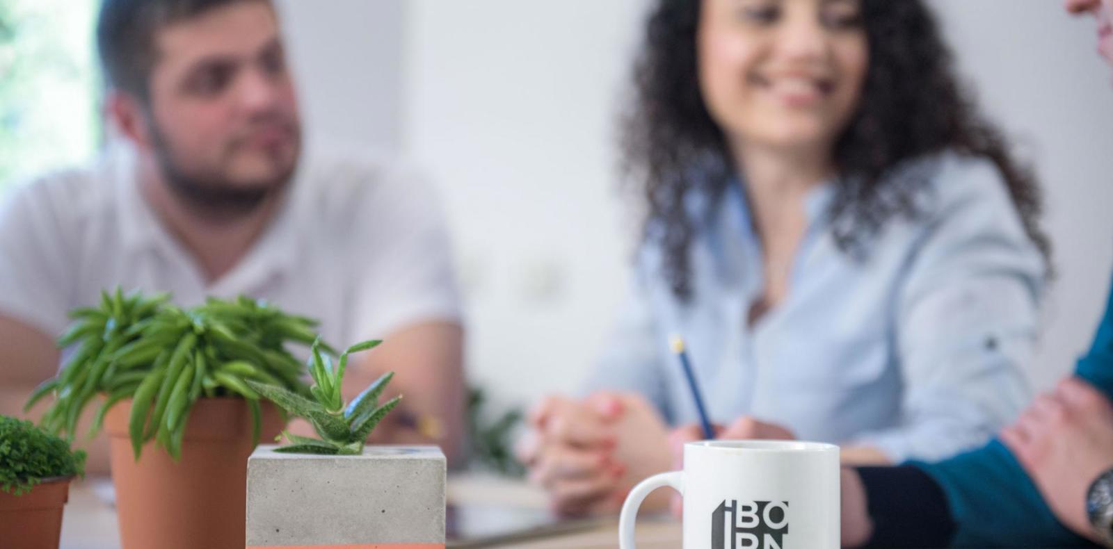 A coffee mug with the IBORN logo and succulents standing on a table and people having a meeting in the background.