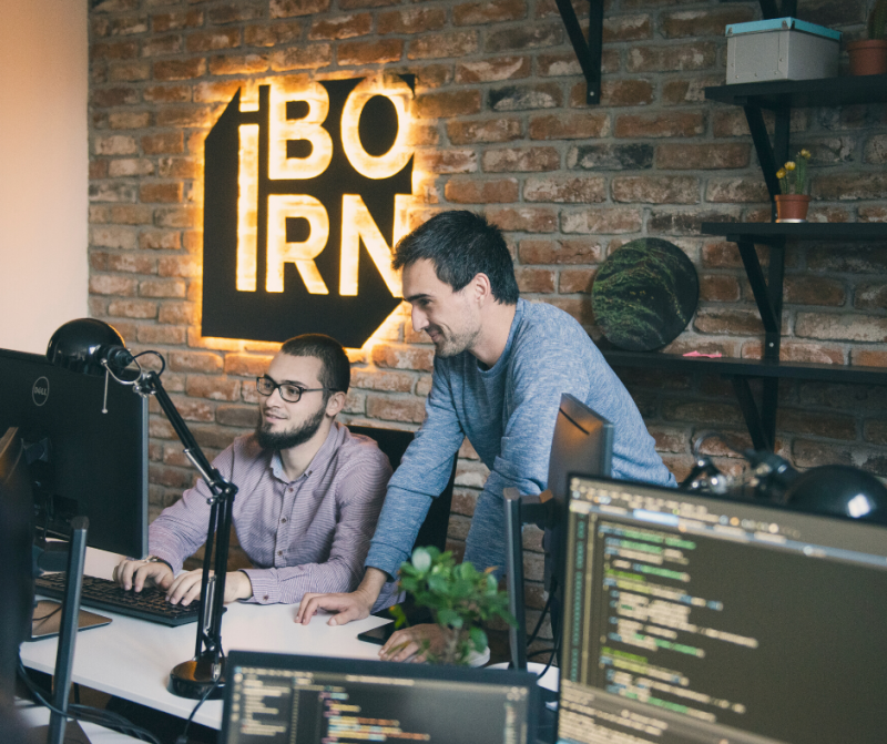 Office colleagues typing on laptops at their desks with the IBORN logo in the background.