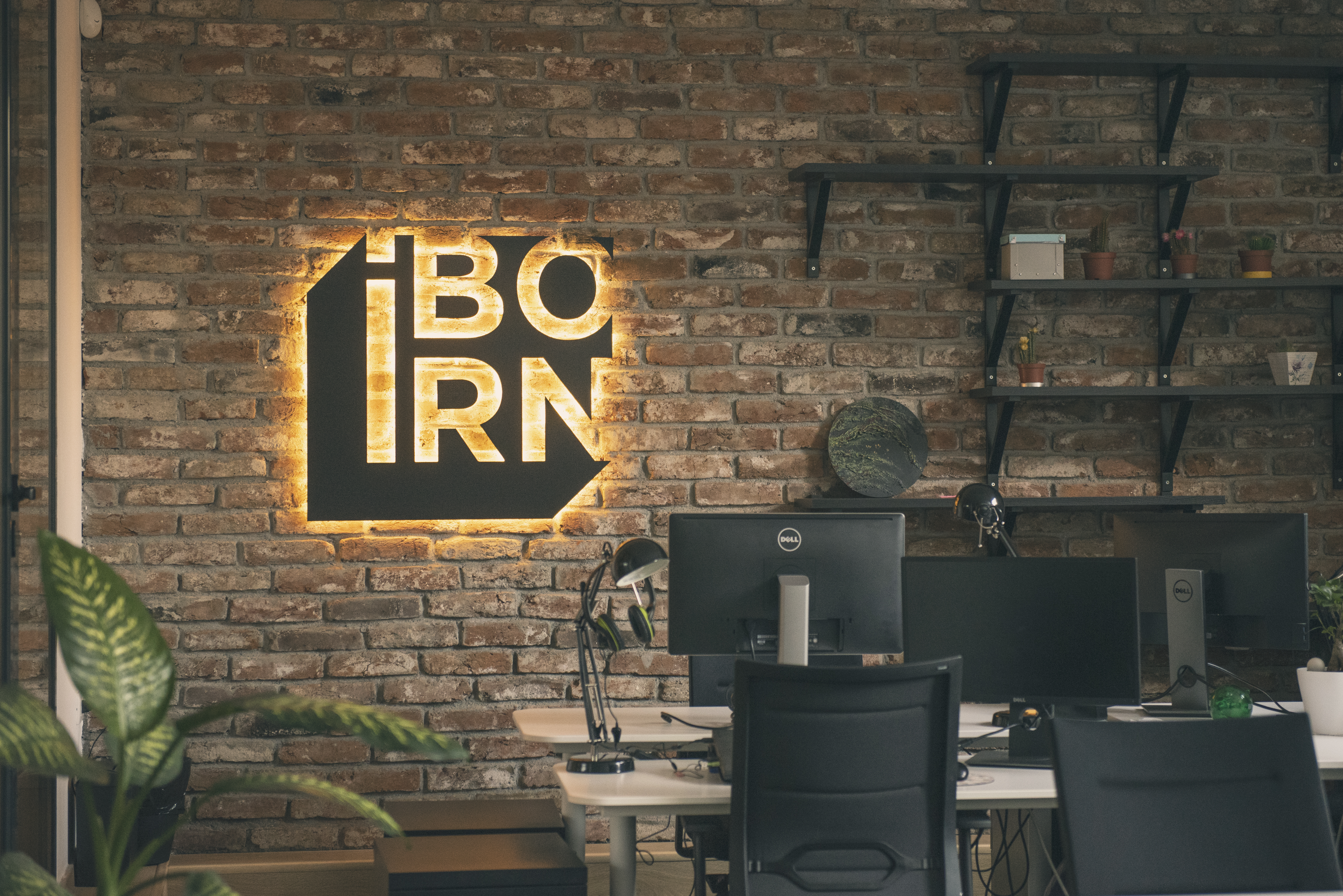 Modern office environment with the IBORN logo on the wall.